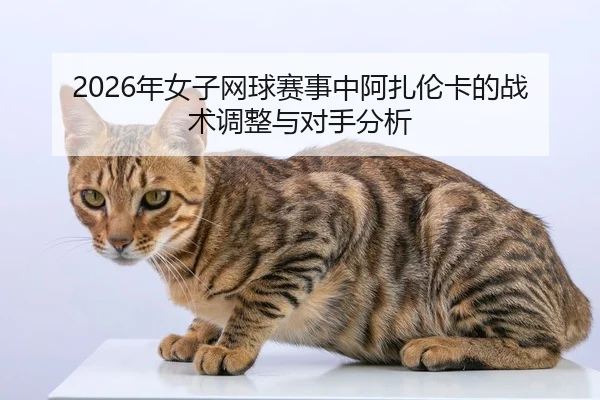 nian-nv-zi-wang-qiu-sai-shi-zhong-a-zha-lun-ka-de-zhan-shu-tiao-zheng-yu-dui-shou-fen-xi-2-393.jpg