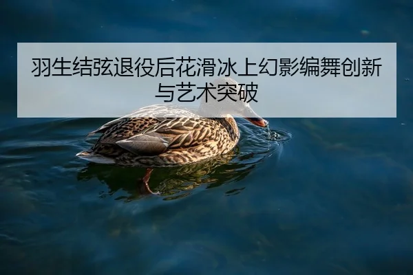 羽生结弦退役后花滑冰上幻影编舞创新与艺术突破
