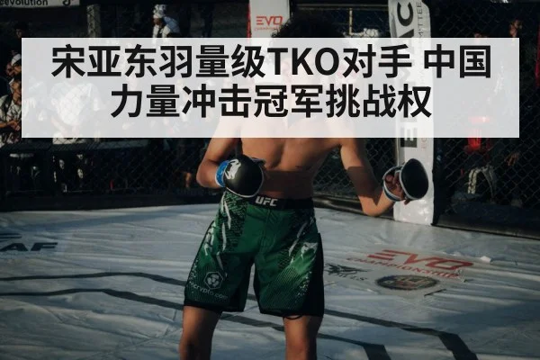 宋亚东羽量级TKO对手 中国力量冲击冠军挑战权