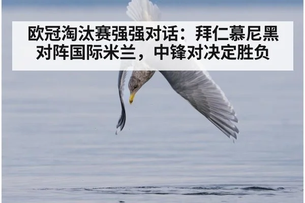 欧冠淘汰赛强强对话：拜仁慕尼黑对阵国际米兰，中锋对决定胜负